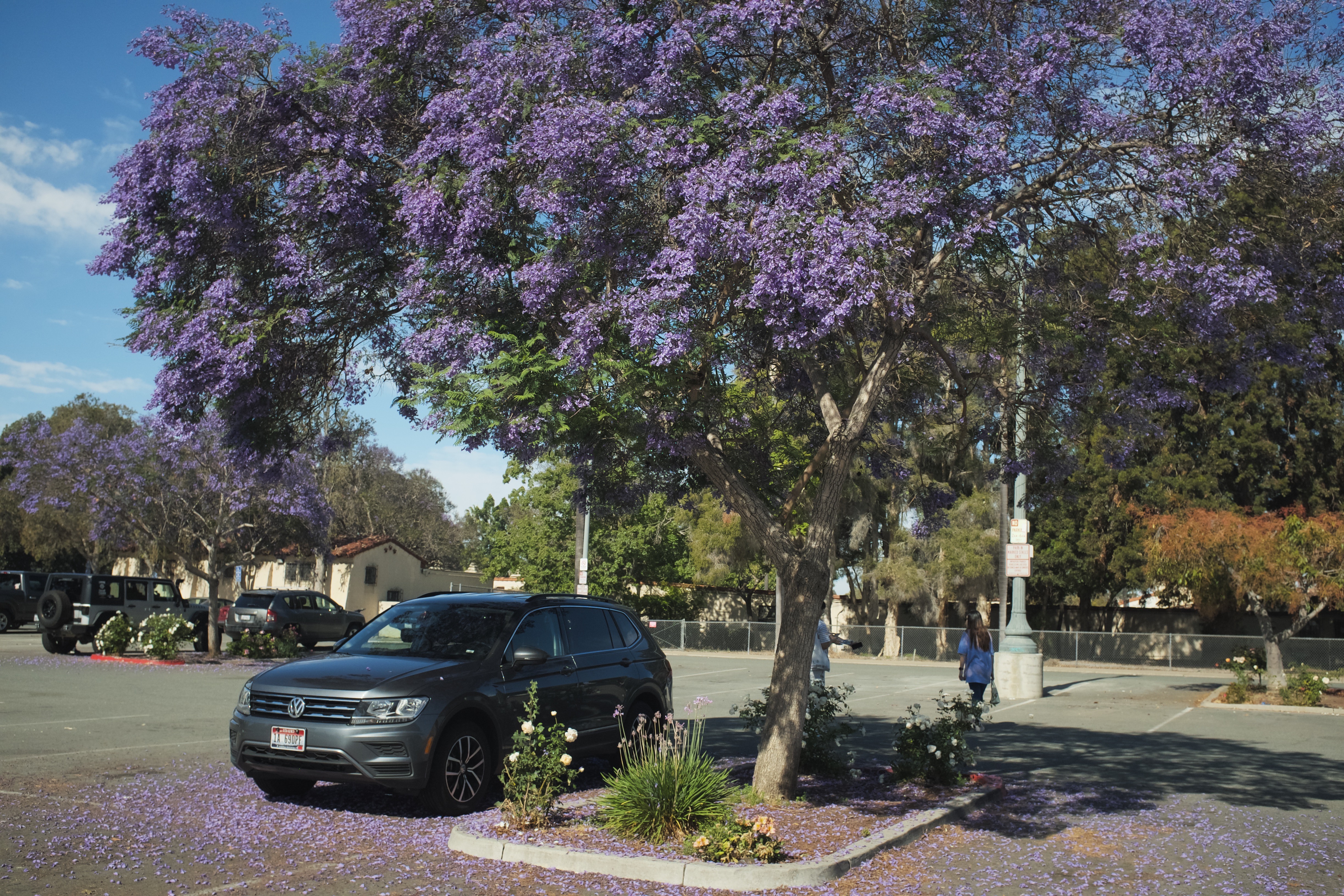 An image to describe post