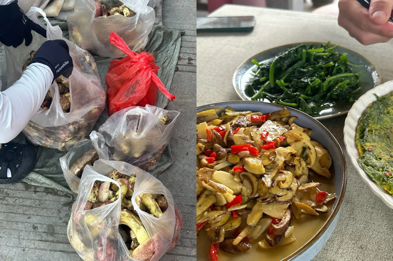 An image to describe post