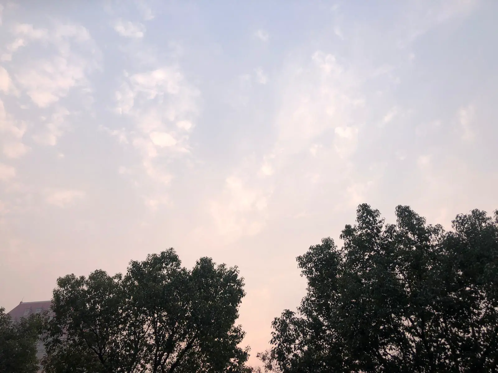 An image to describe post