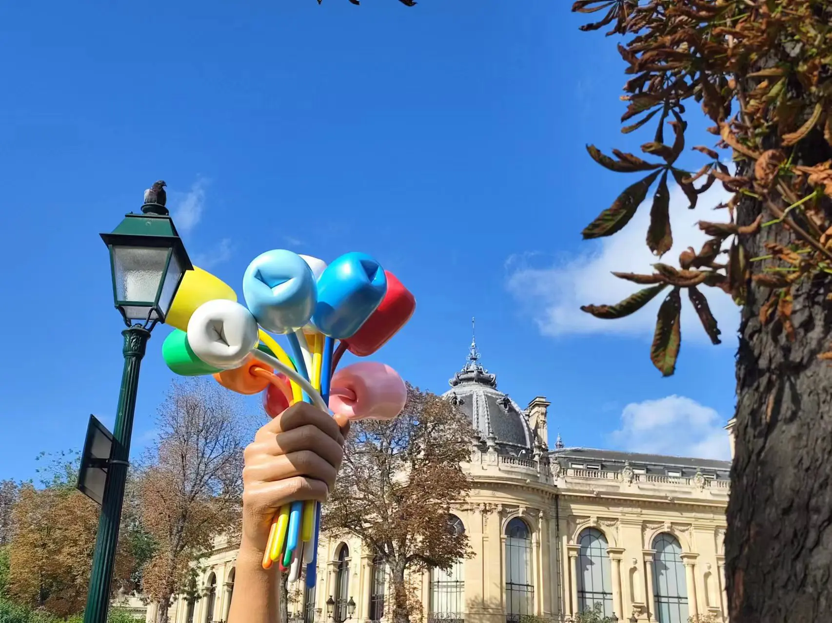 An image to describe post