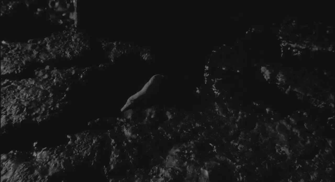 space worm