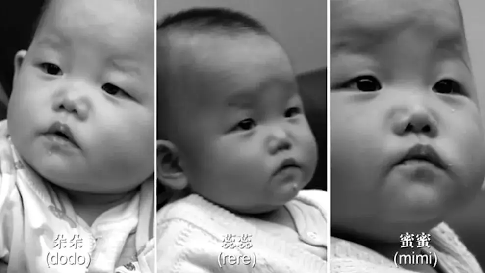 An image to describe post