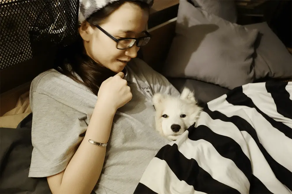 An image to describe post