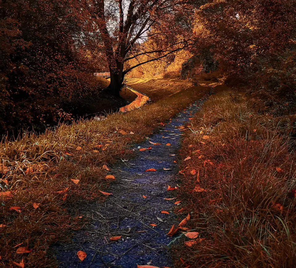 An image to describe post