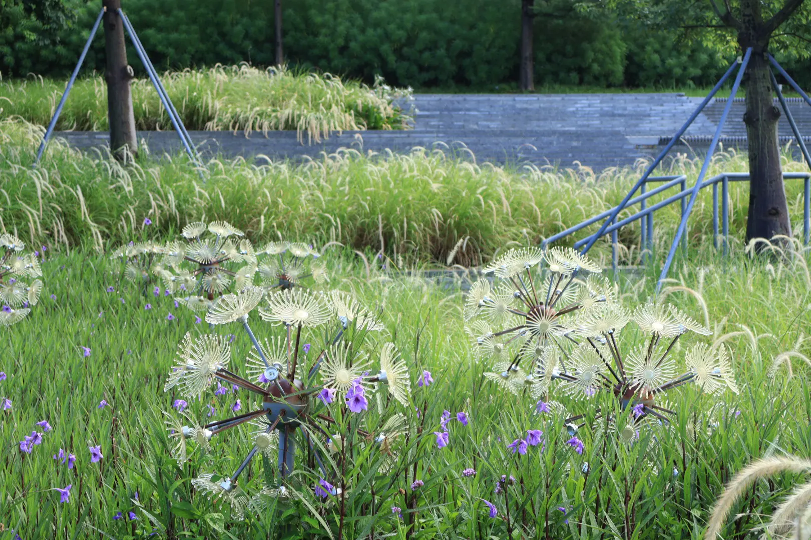 An image to describe post