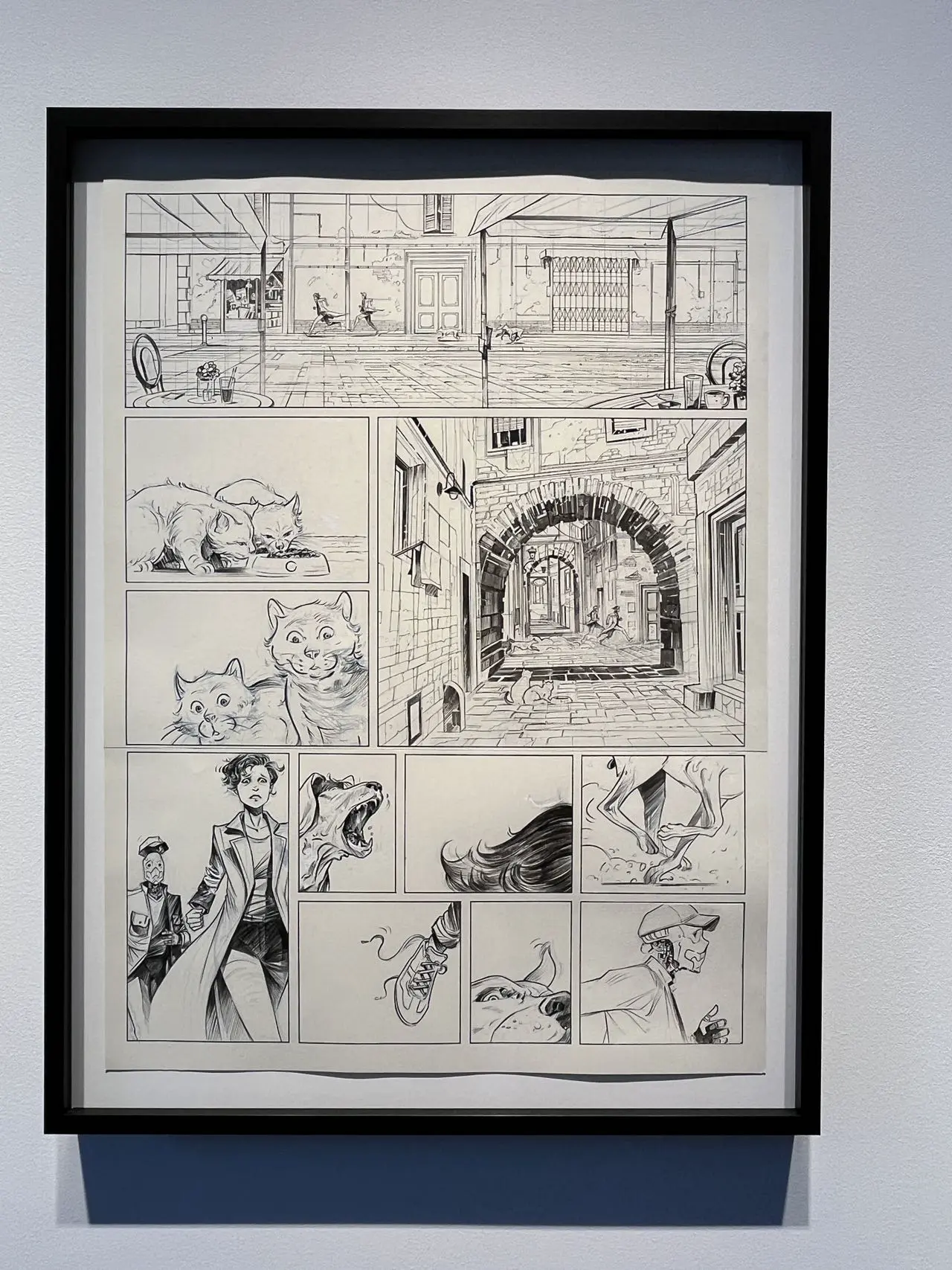 An image to describe post