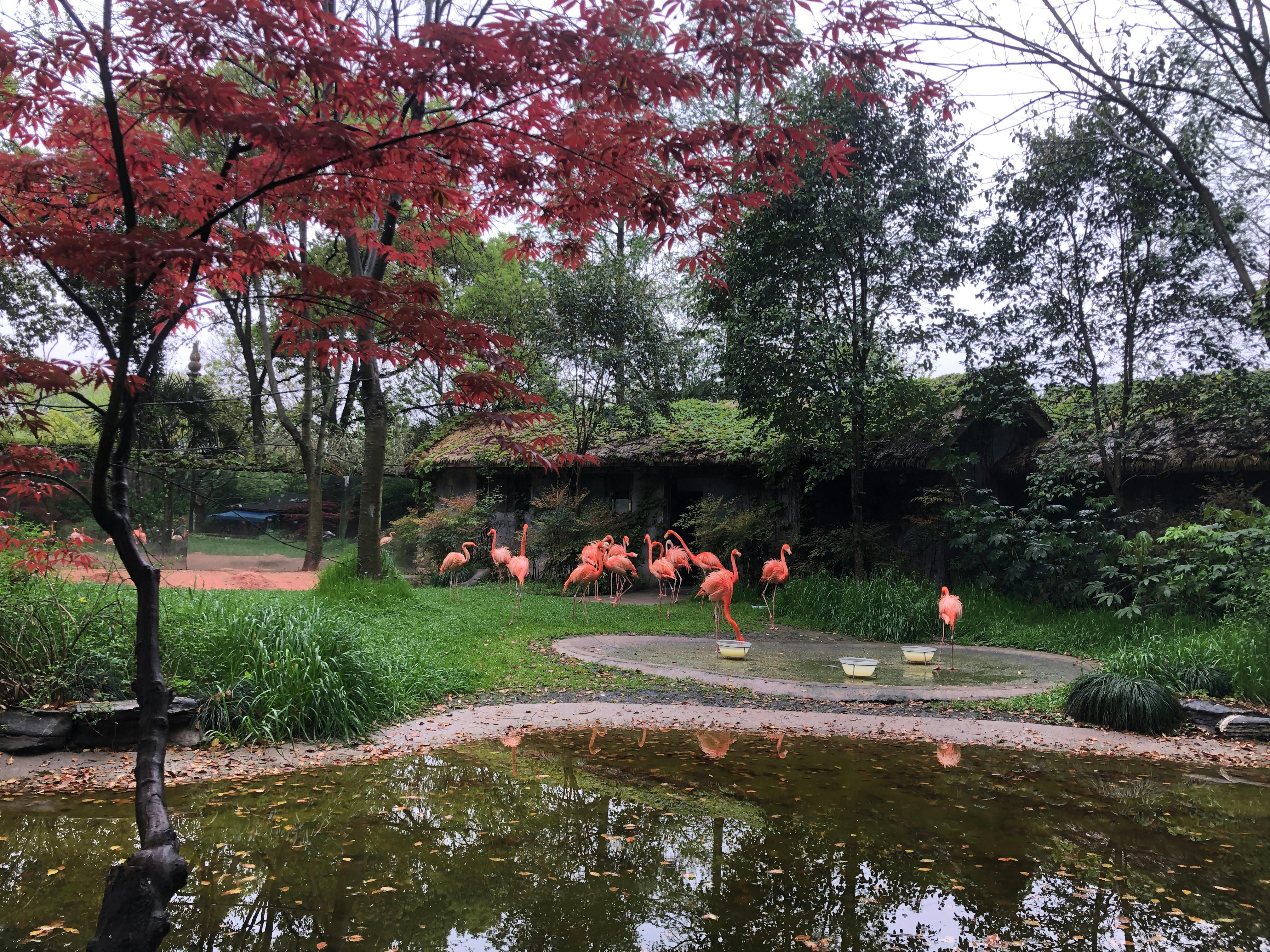 An image to describe post