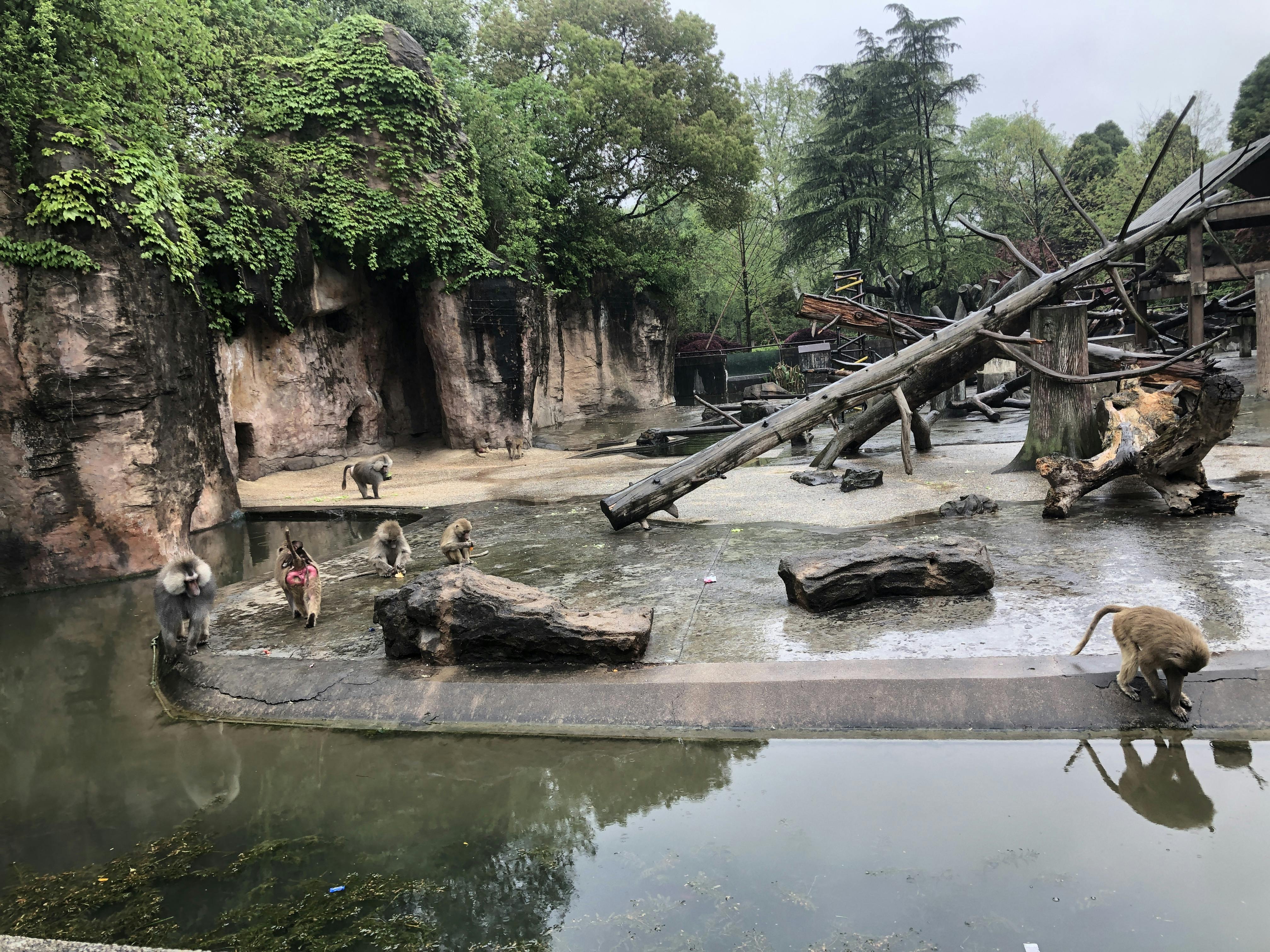 An image to describe post