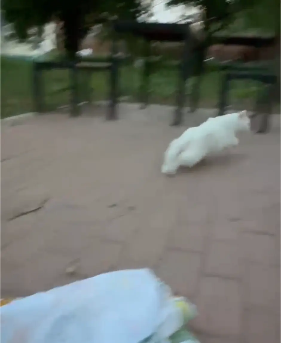 An image to describe post