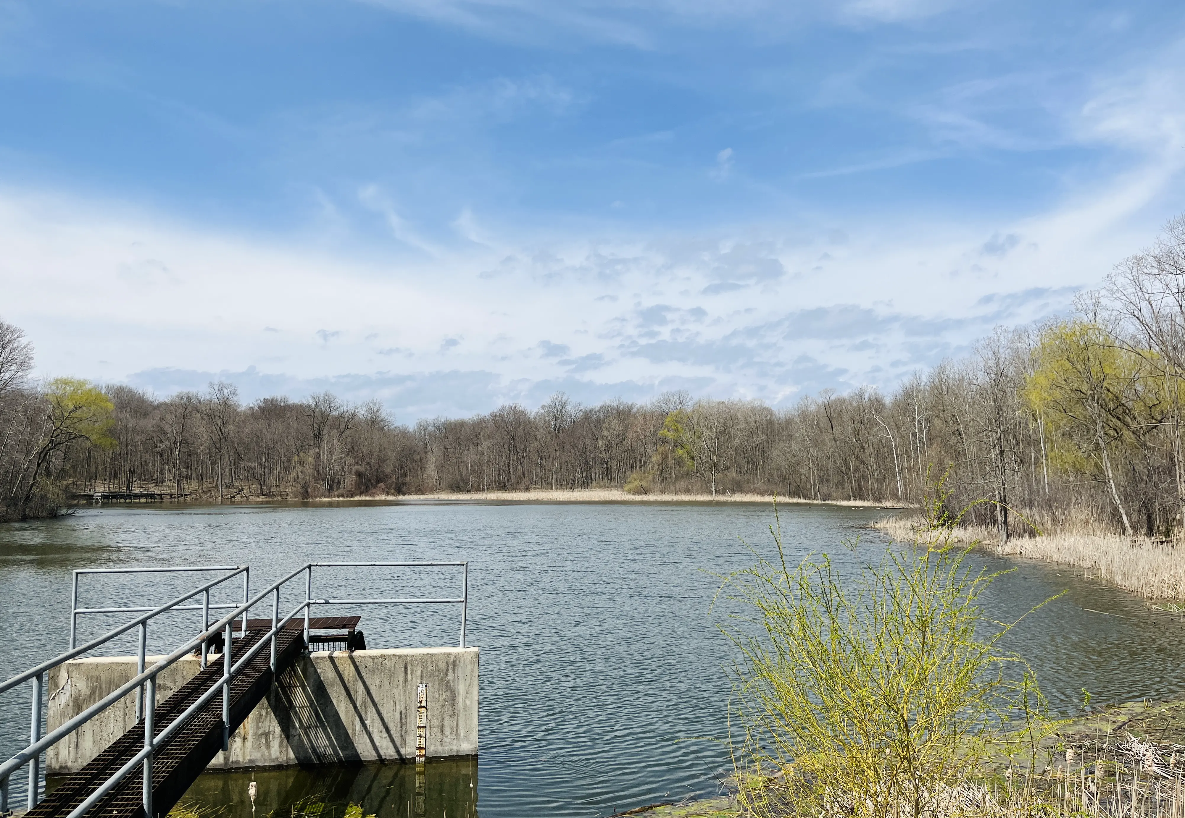 An image to describe post