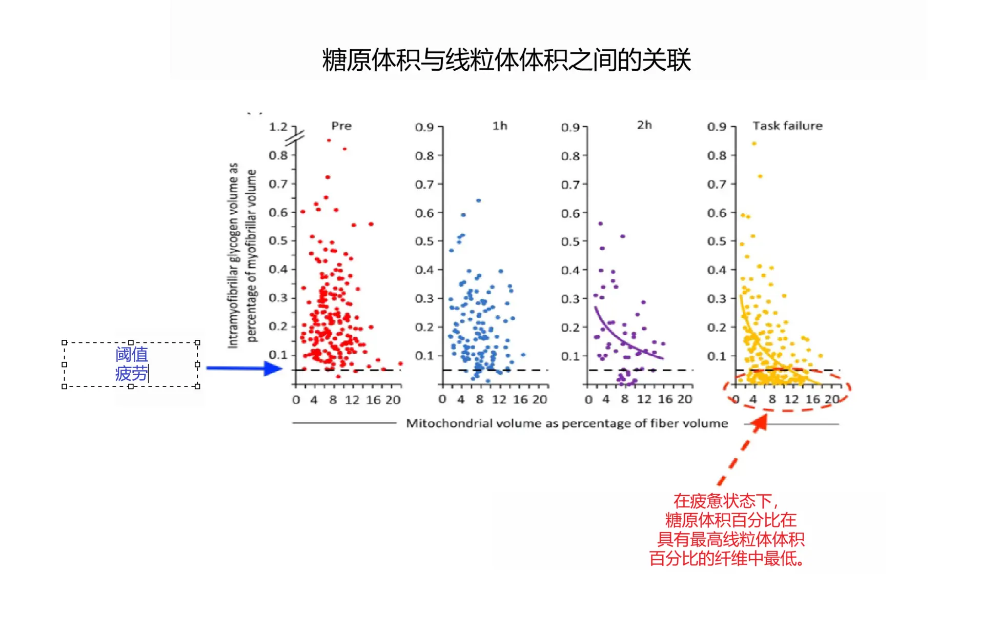 碳水化合物氧化如何影响你的耐力表现