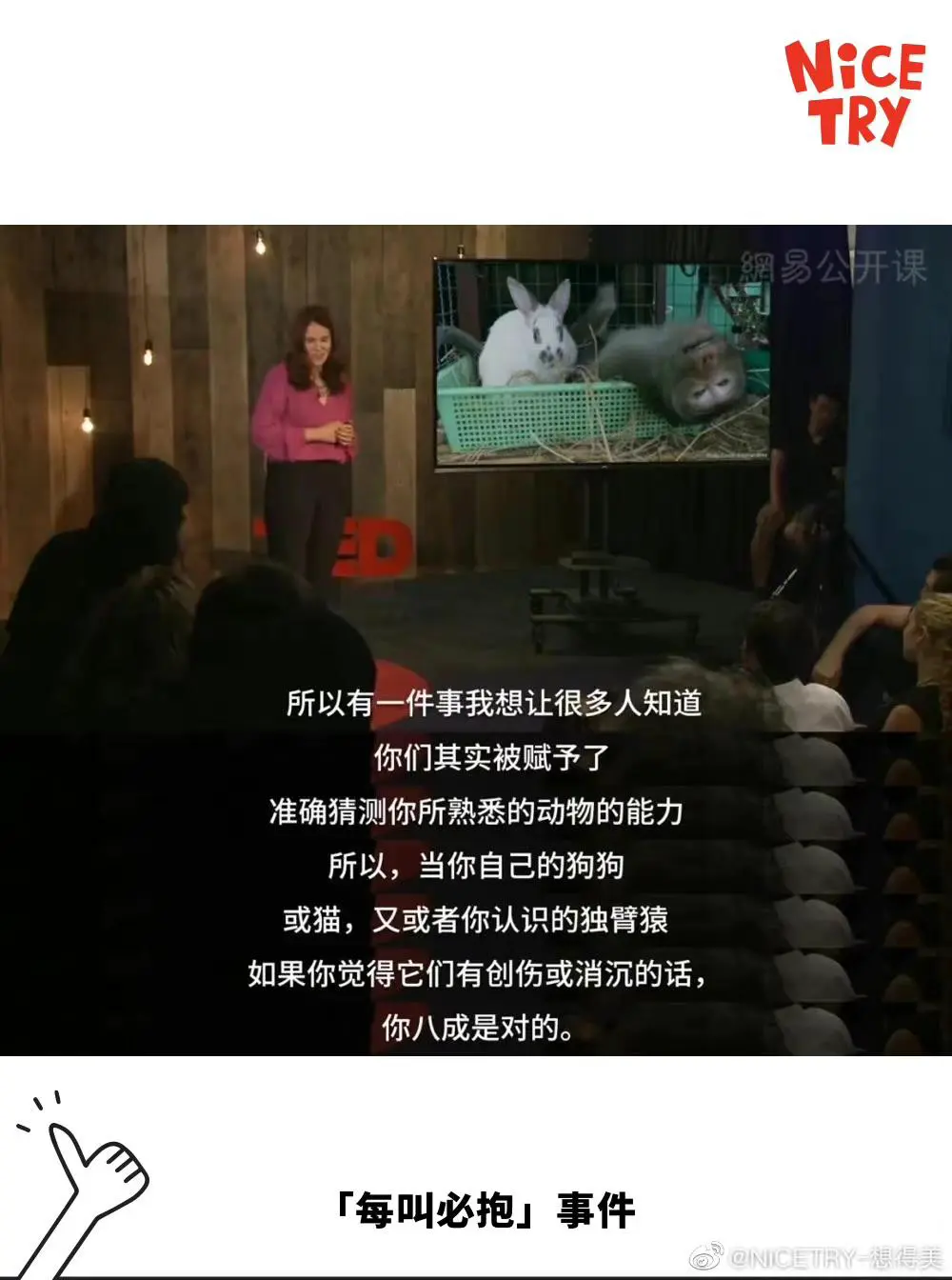 An image to describe post