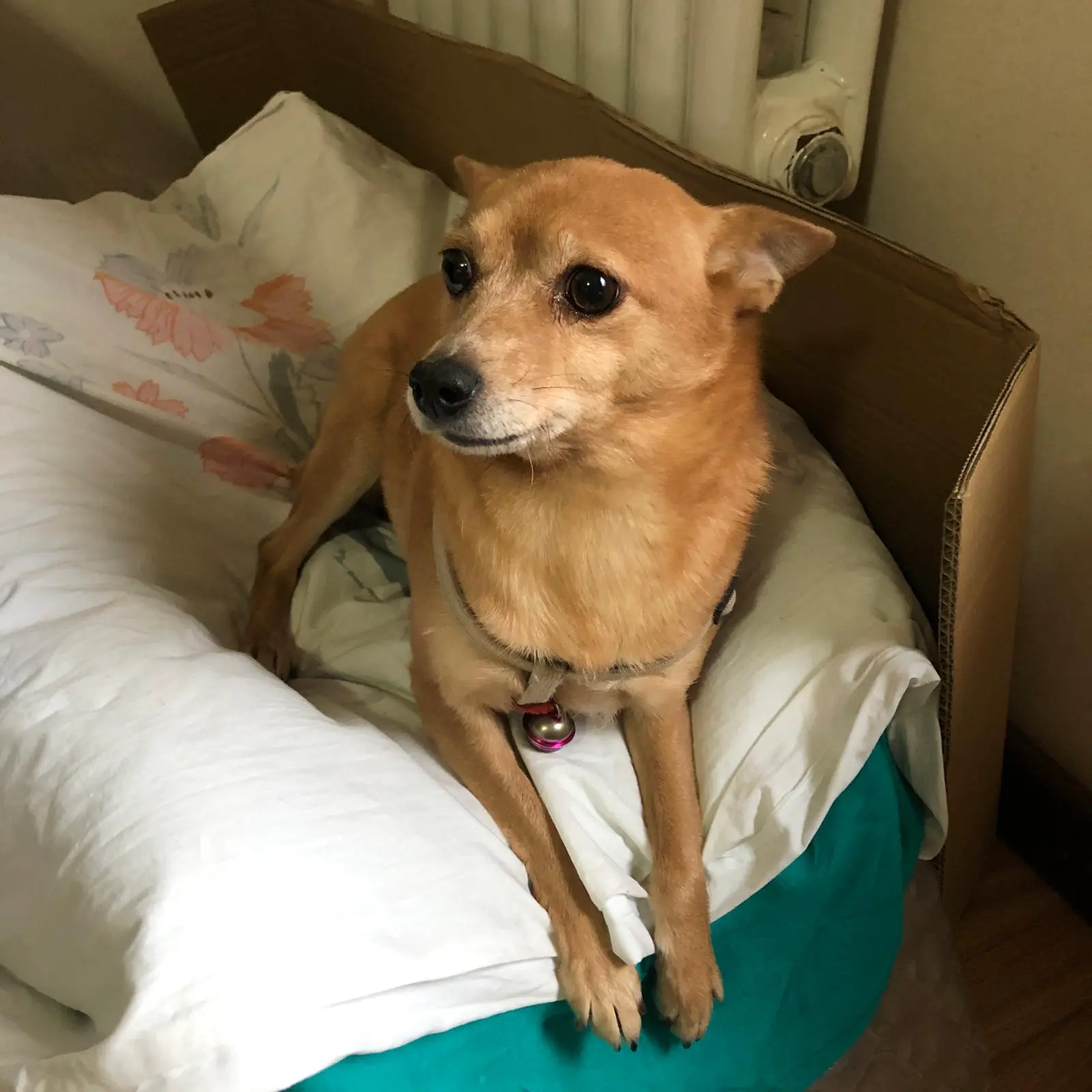 An image to describe post