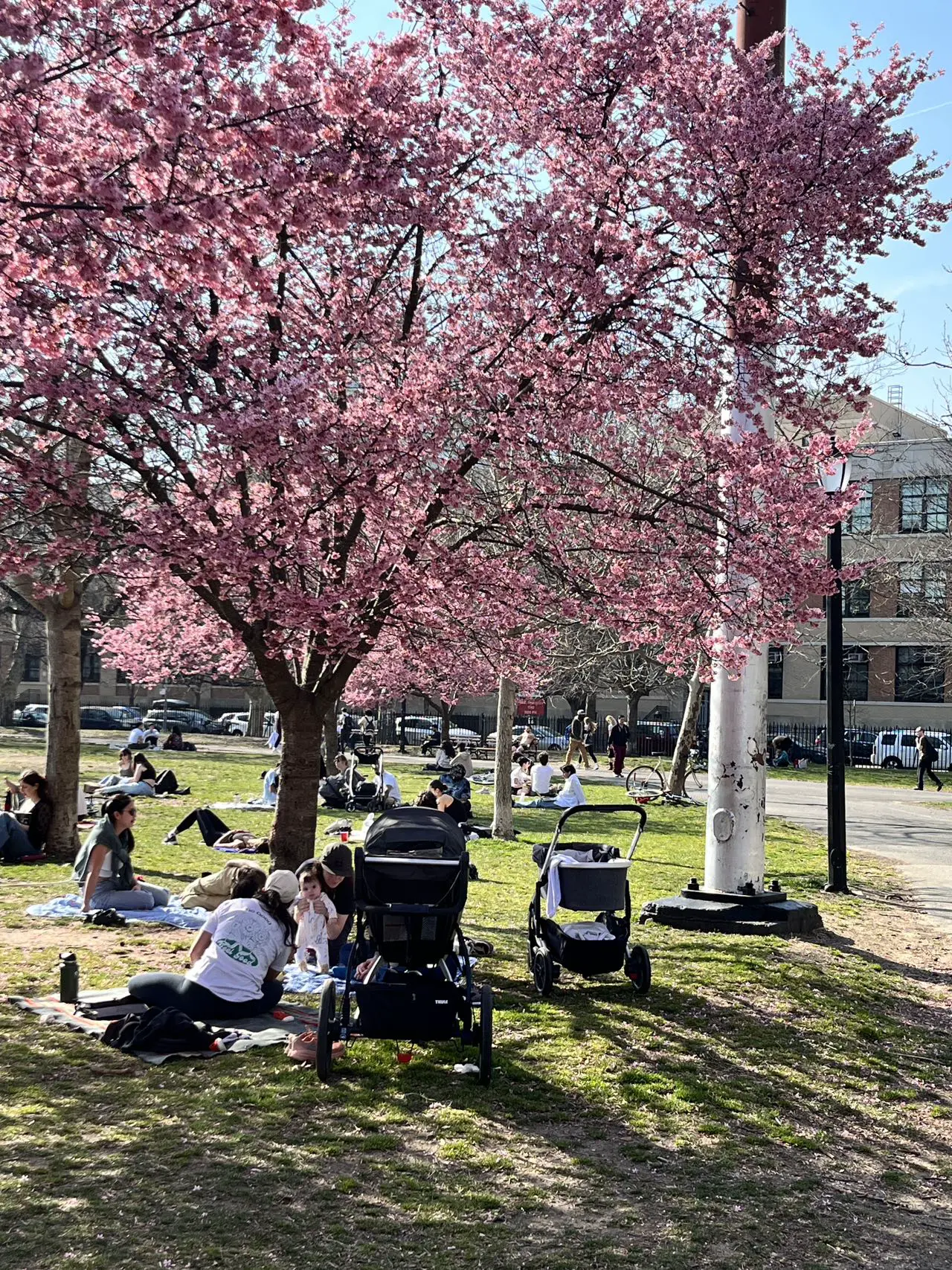 An image to describe post