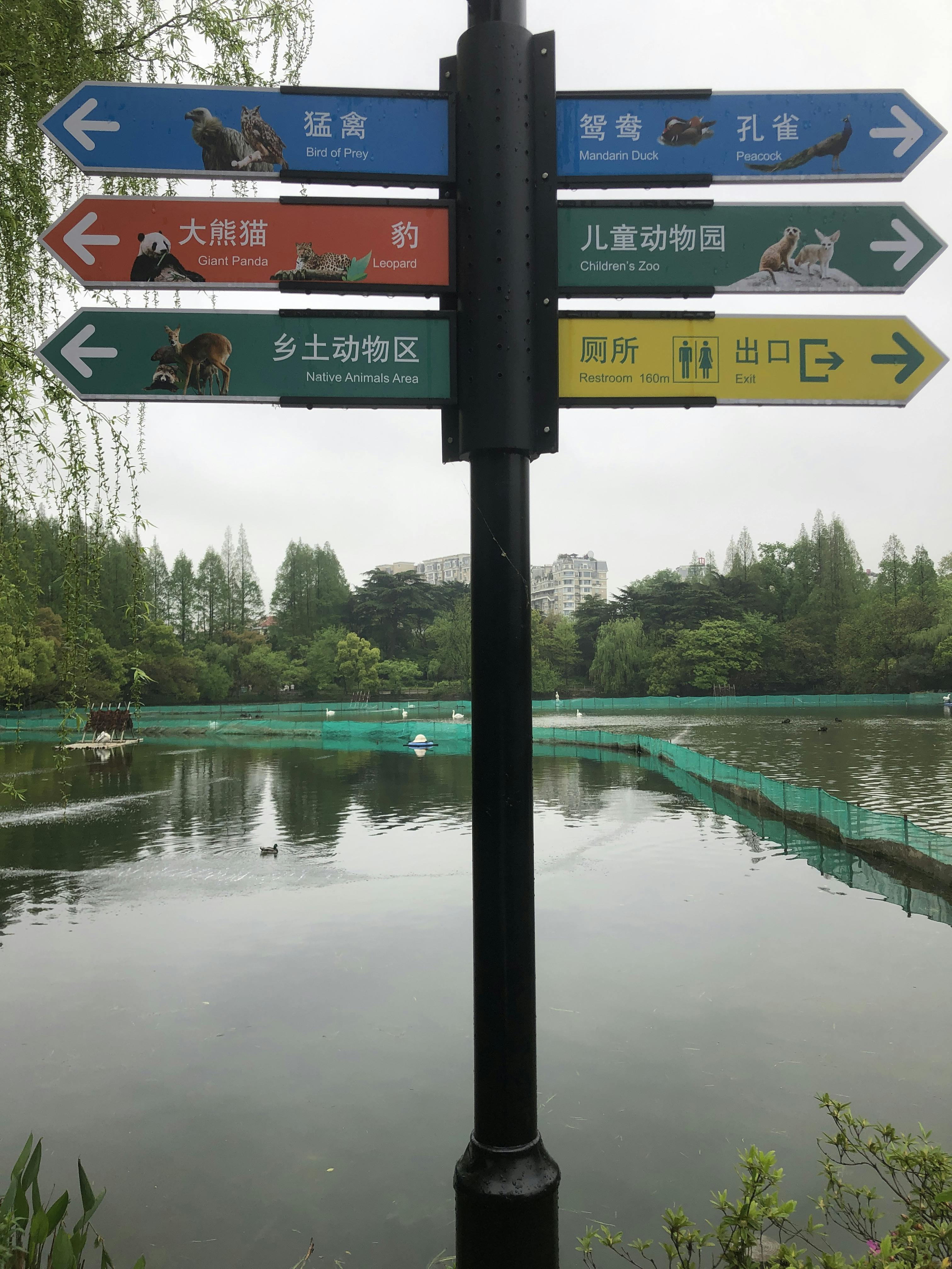 An image to describe post