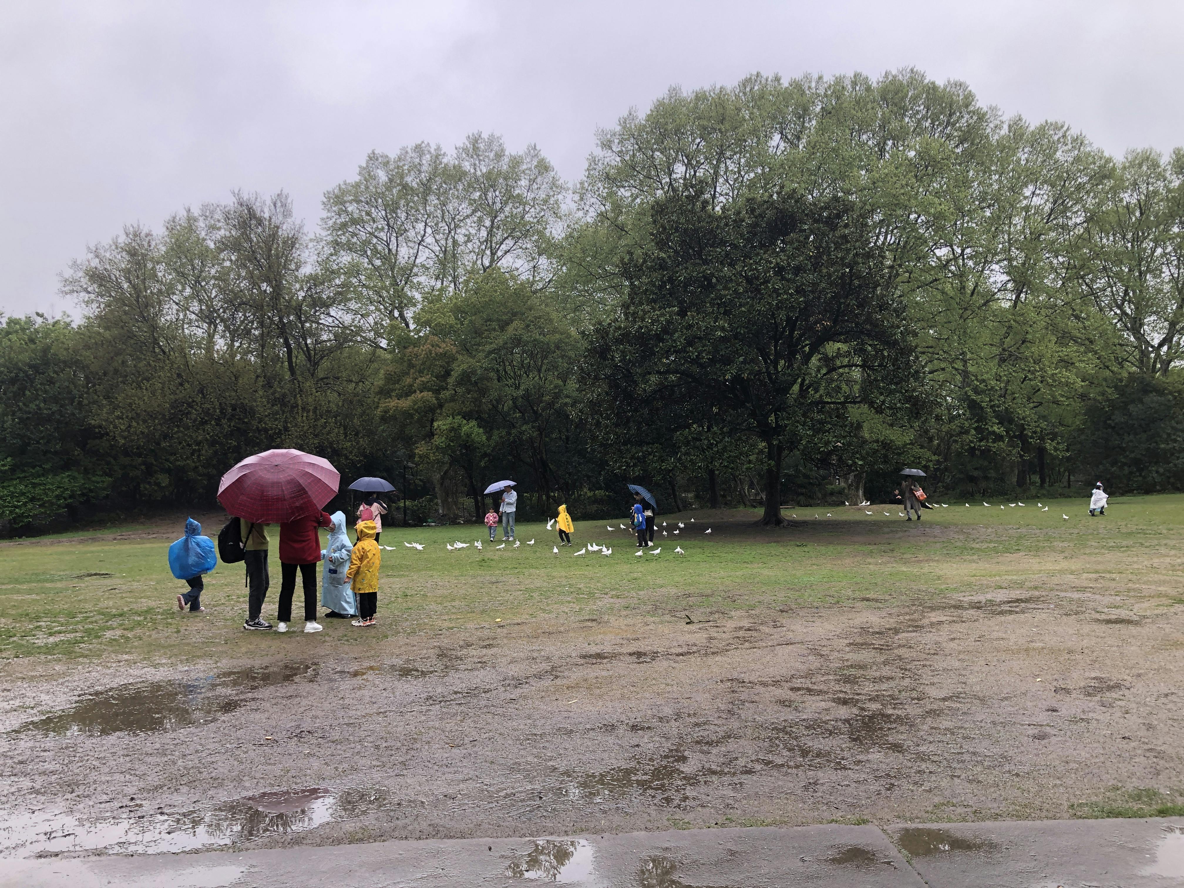 An image to describe post