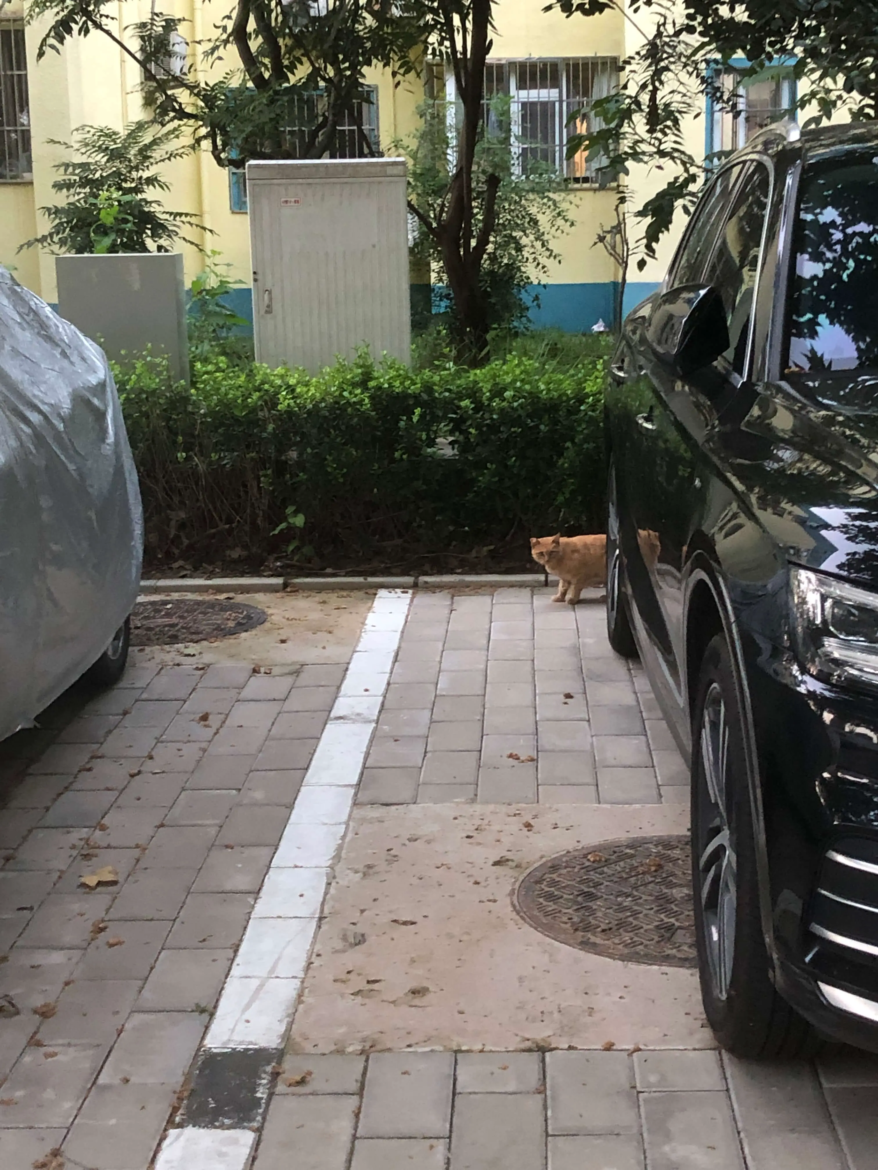 An image to describe post