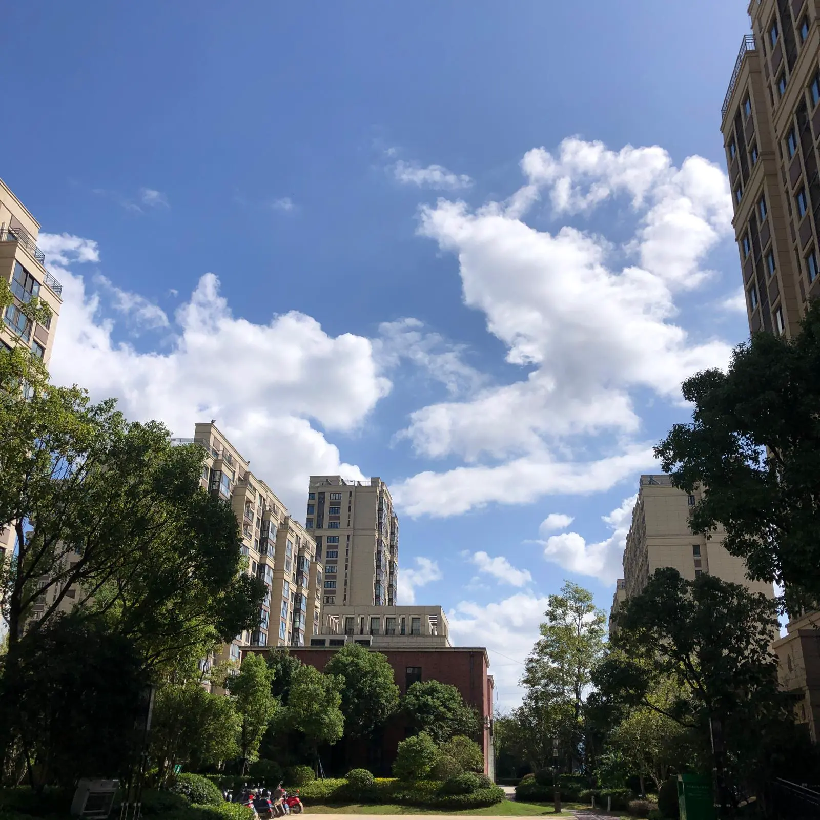 An image to describe post