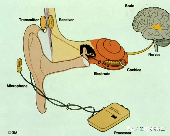 An image to describe post