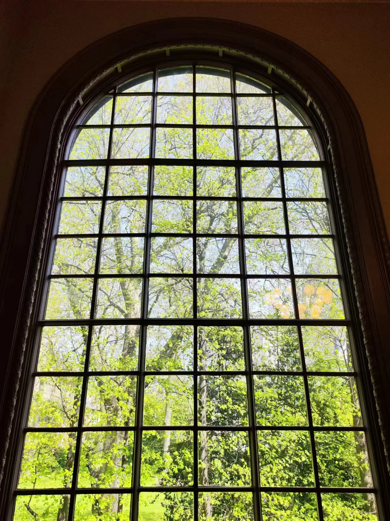 An image to describe post