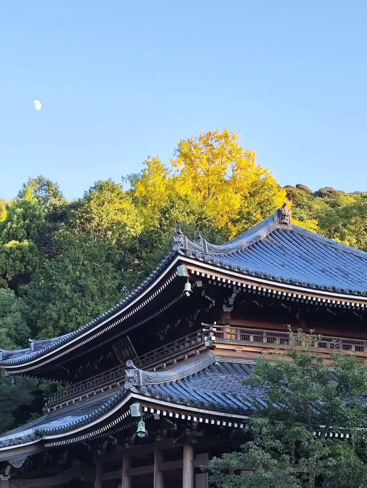 An image to describe post