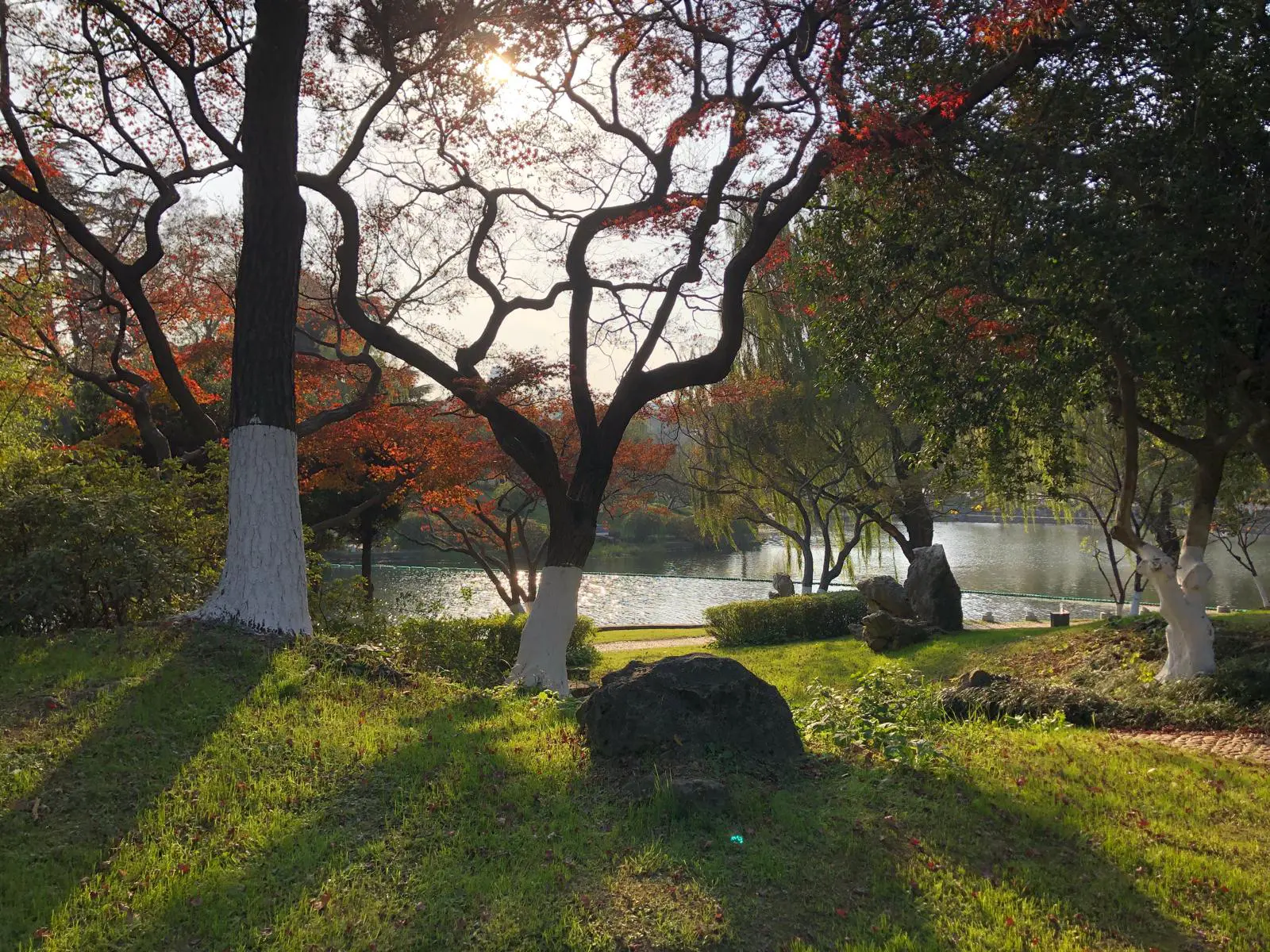 An image to describe post