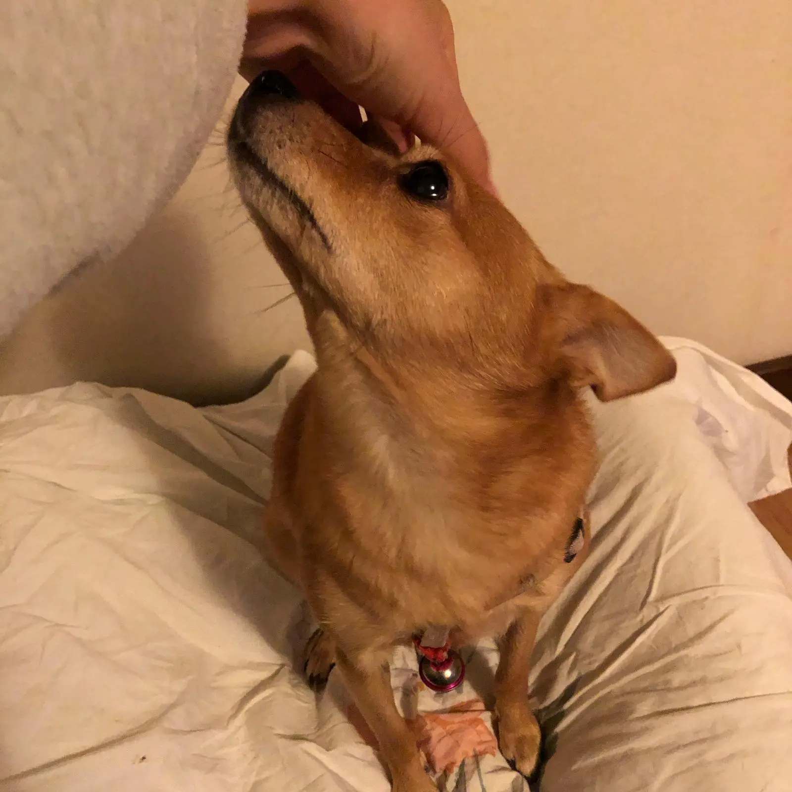 An image to describe post