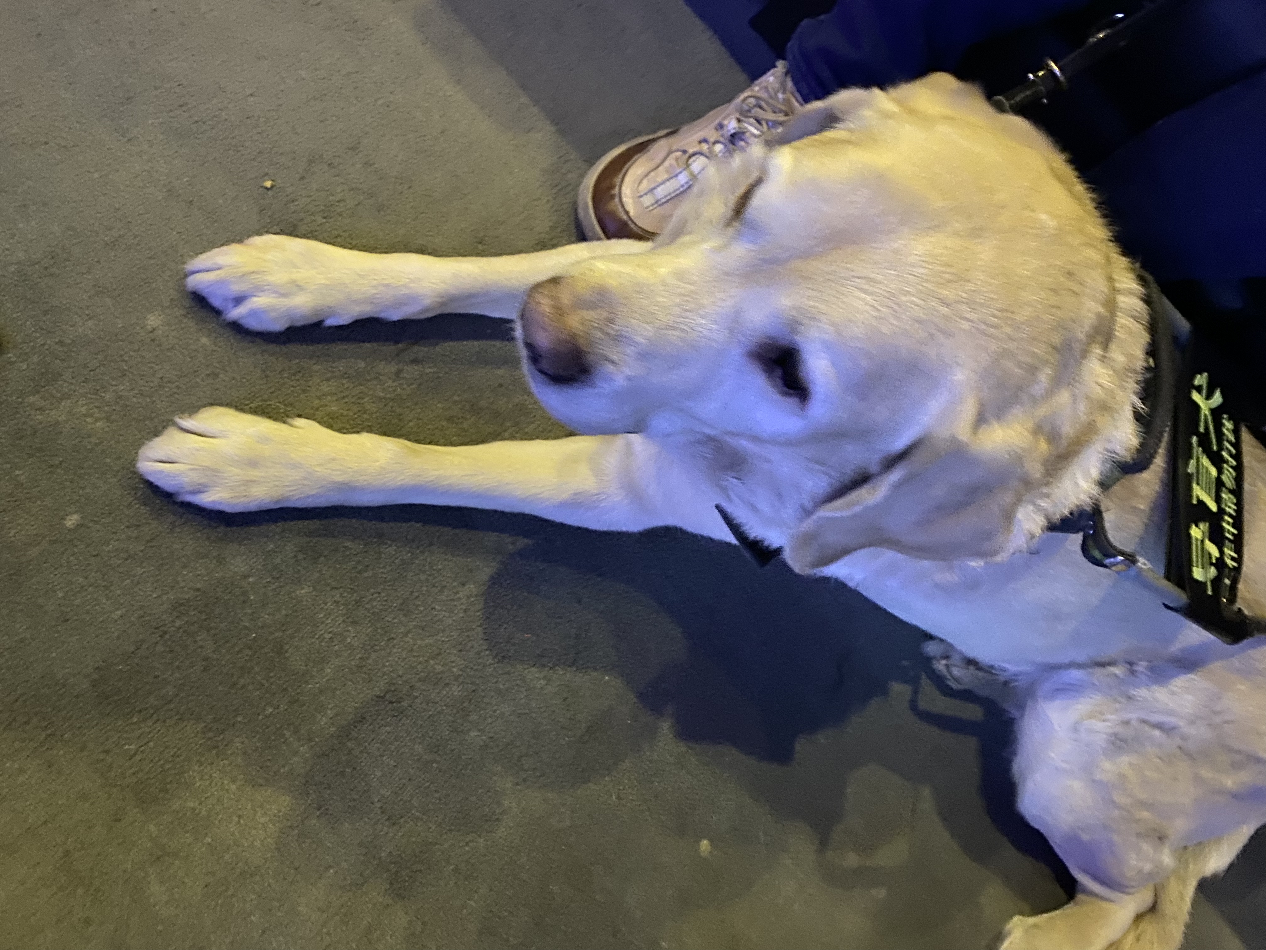 An image to describe post