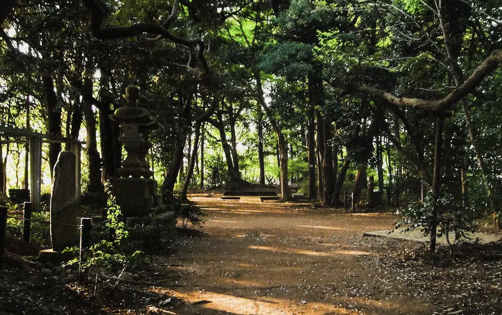 An image to describe post