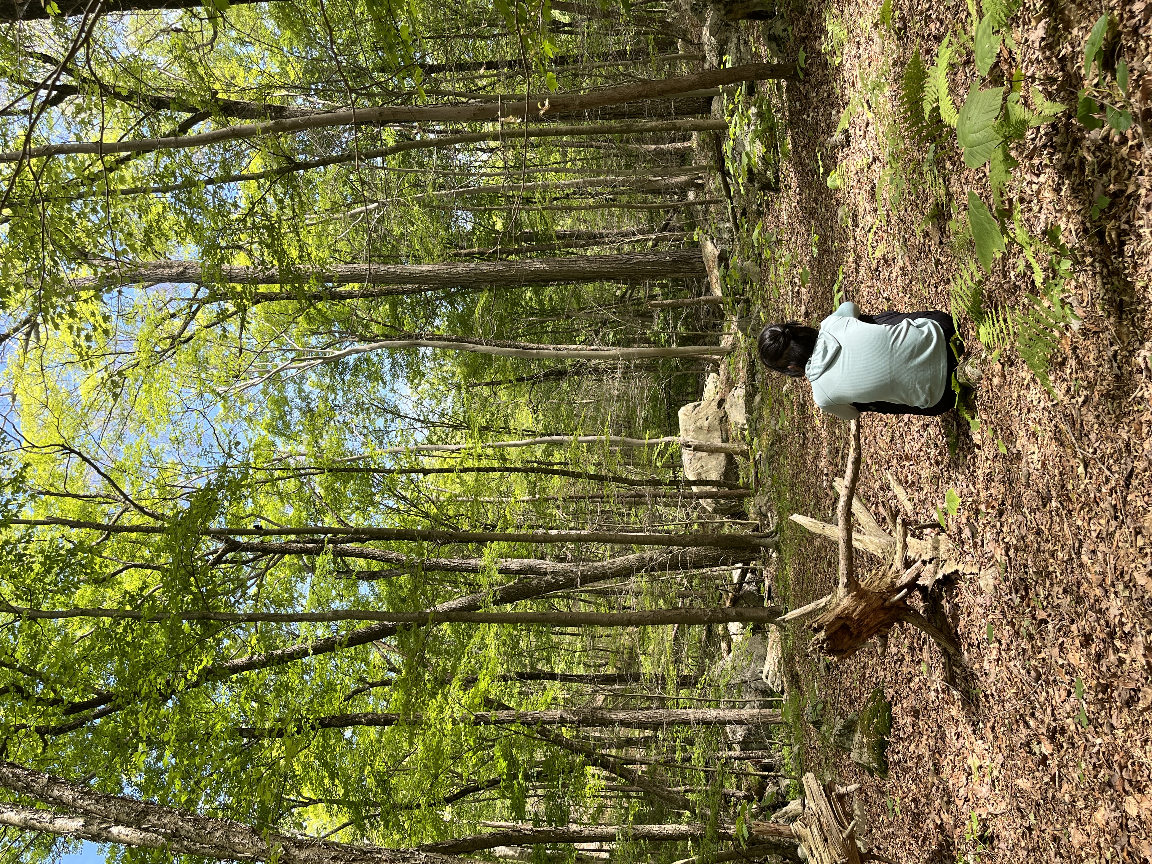 An image to describe post