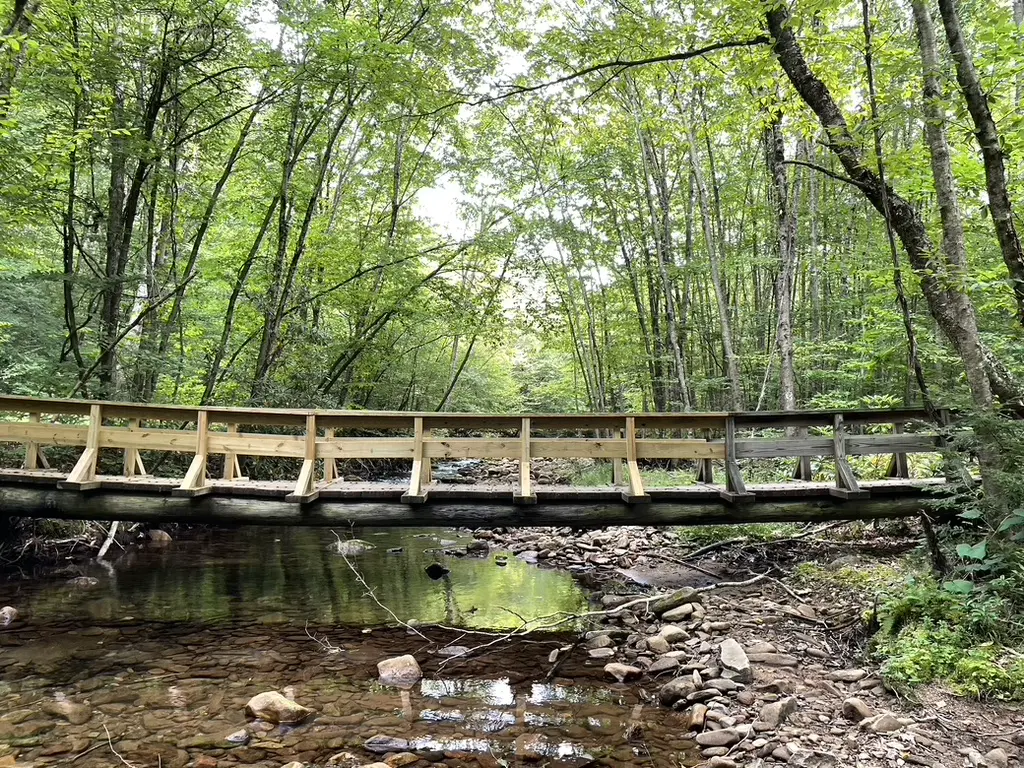 An image to describe post