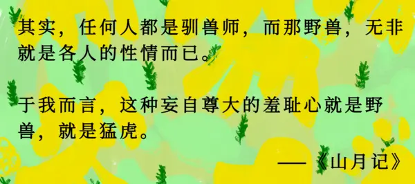 37. 要自力更生，不要相信他们所说的