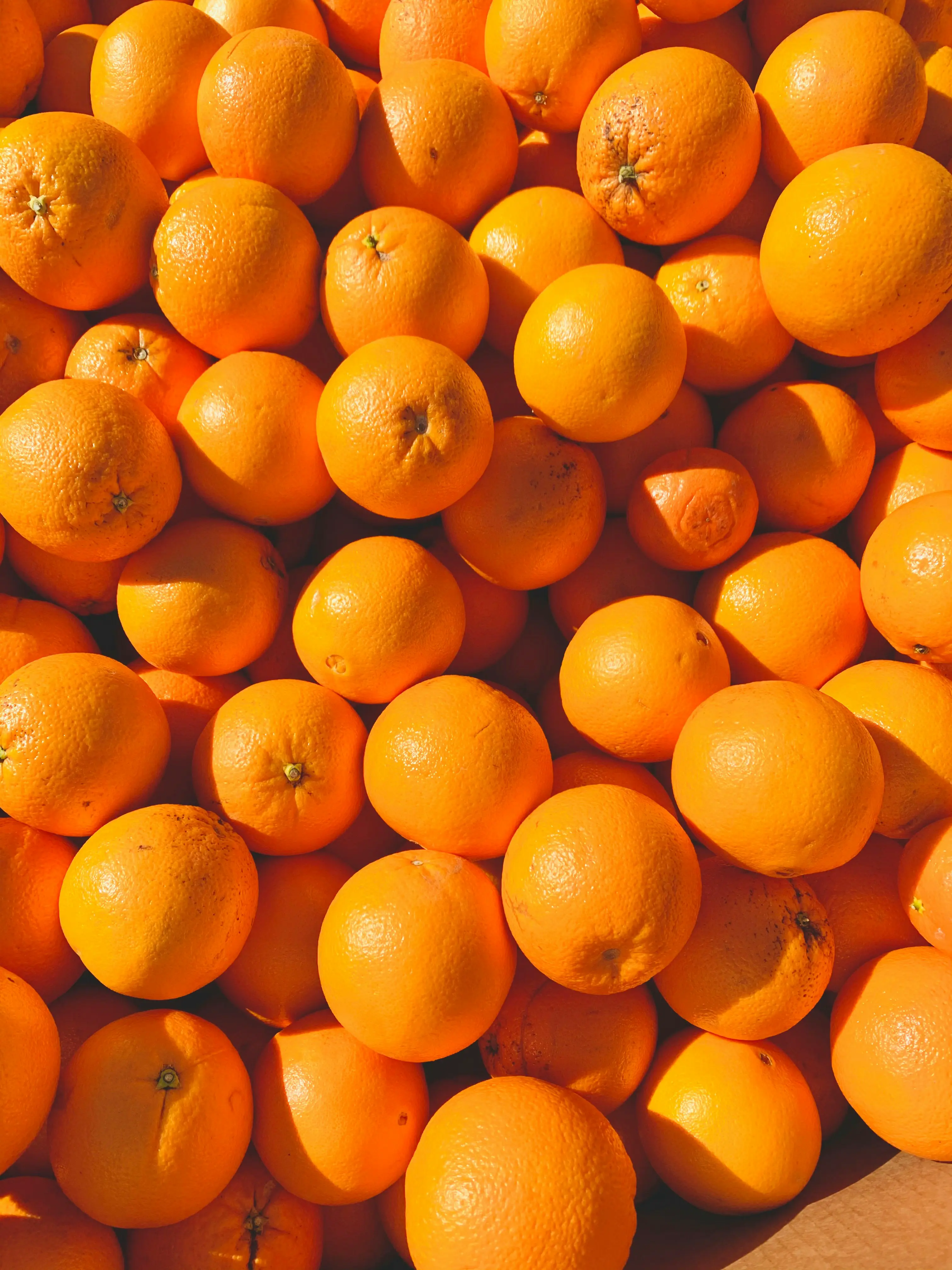 Orange 1-4月的小结，真实的创业，是把理想磨成细节