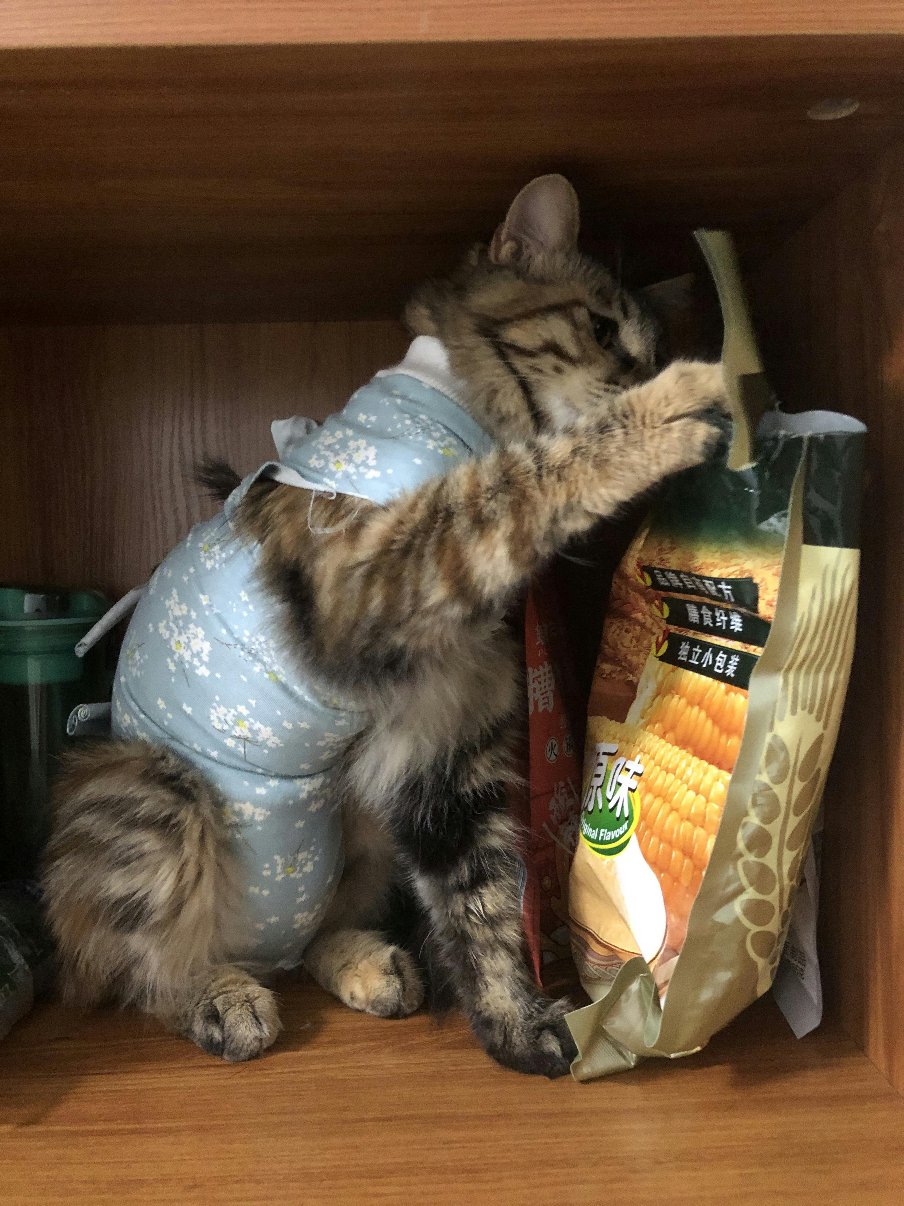 An image to describe post