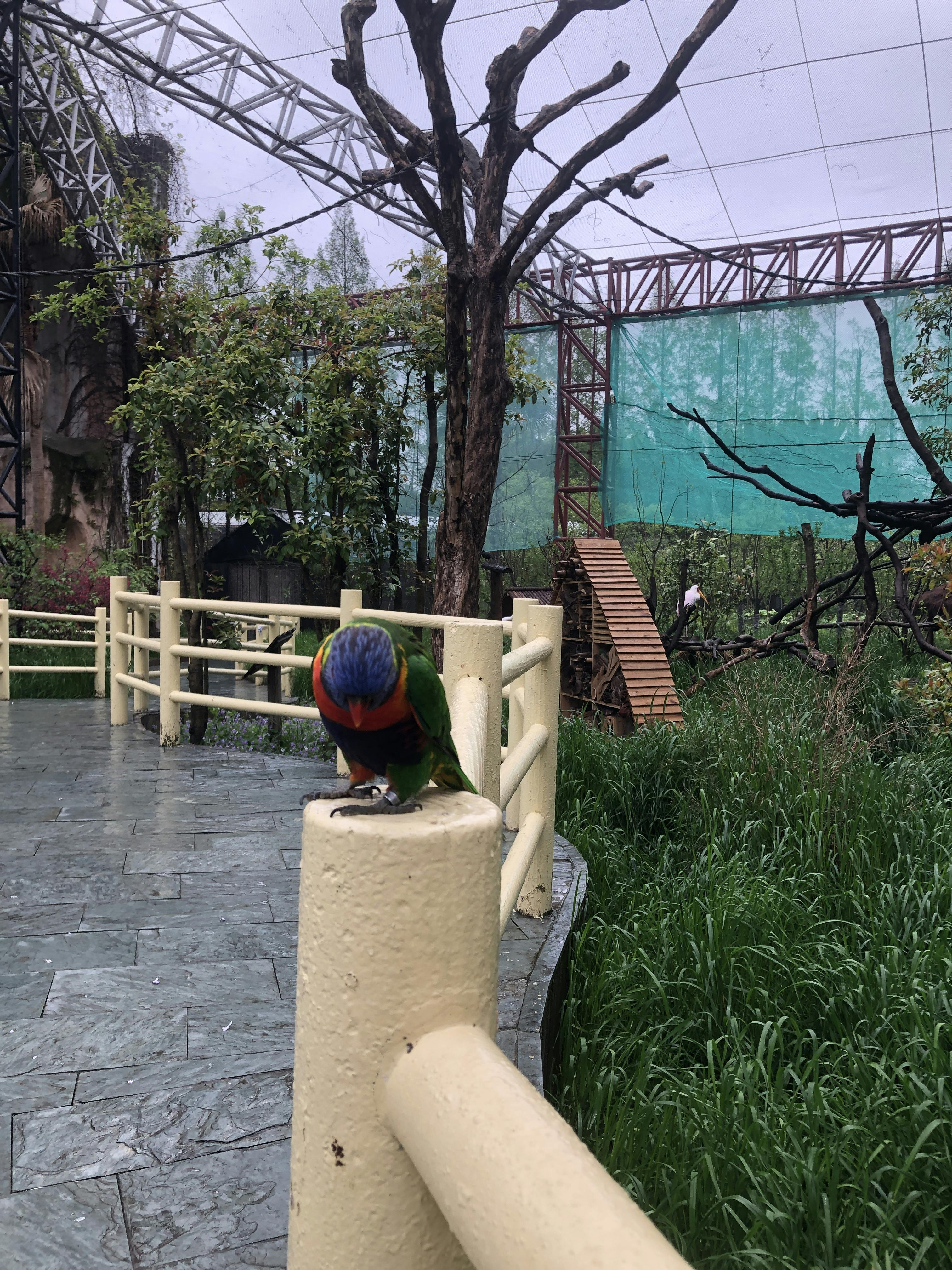 An image to describe post