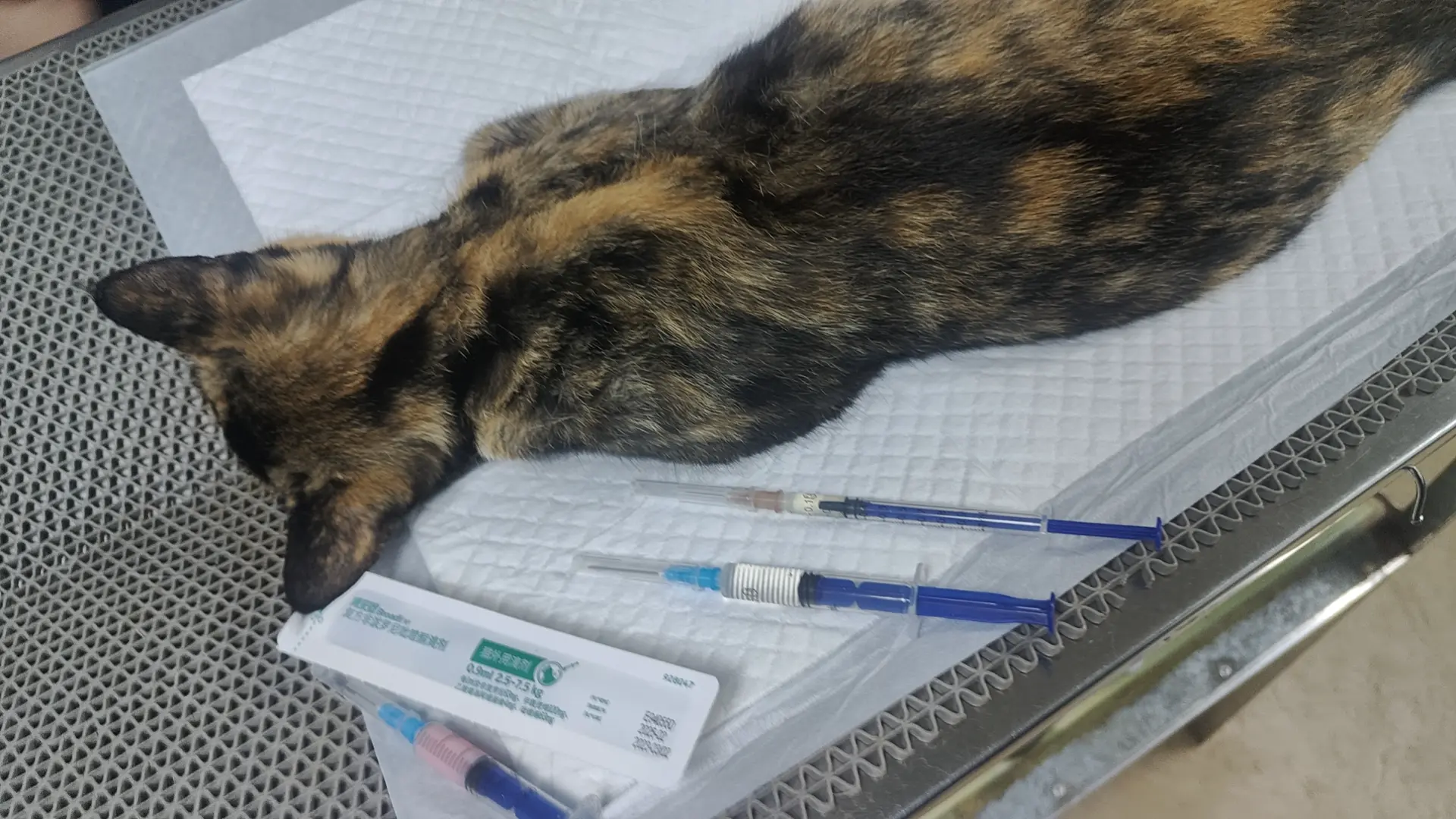 An image to describe post