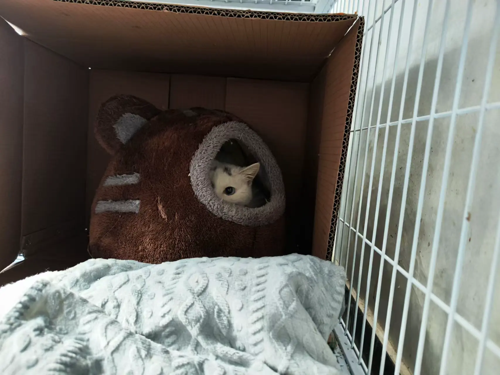 An image to describe post