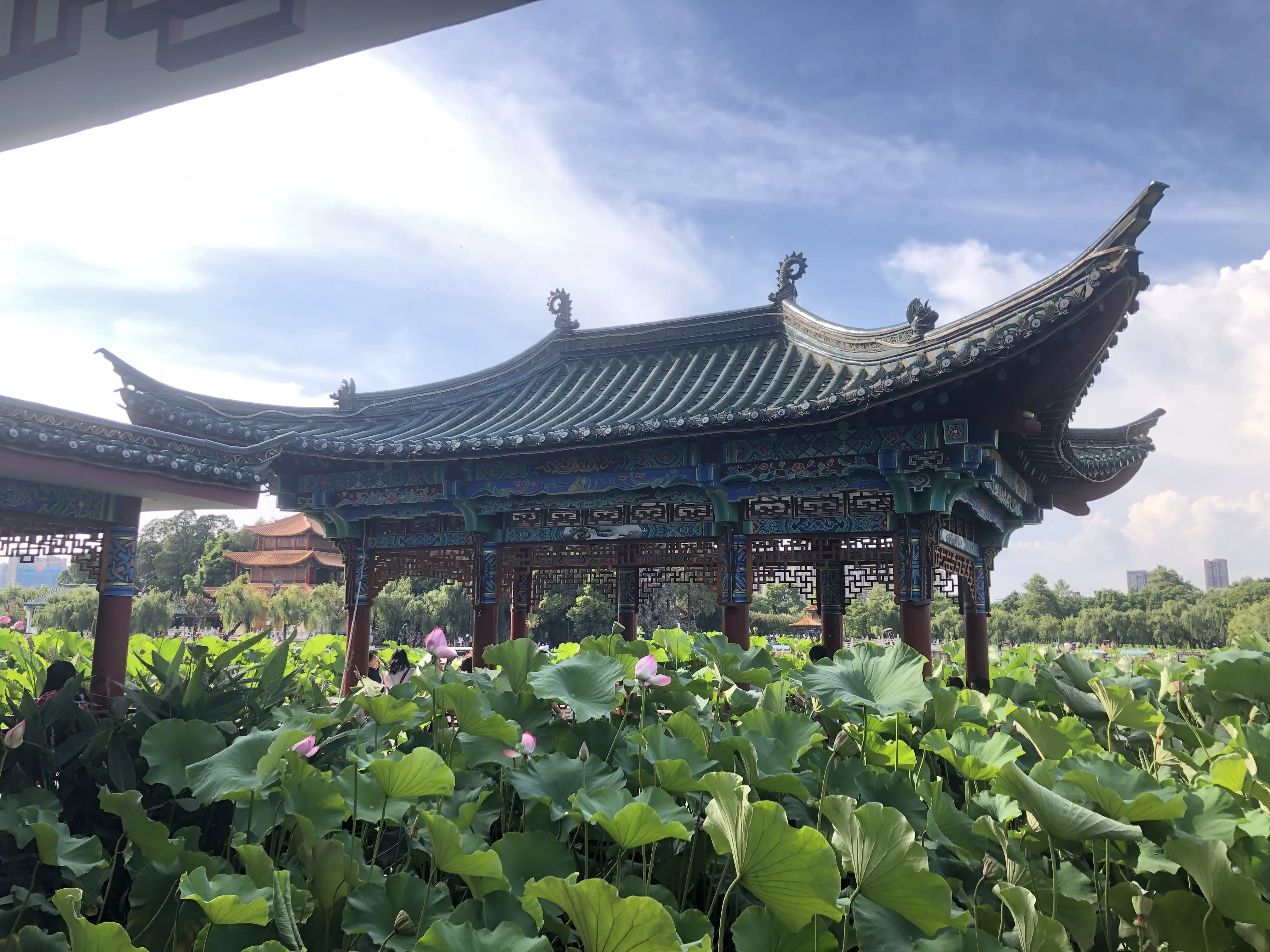 An image to describe post