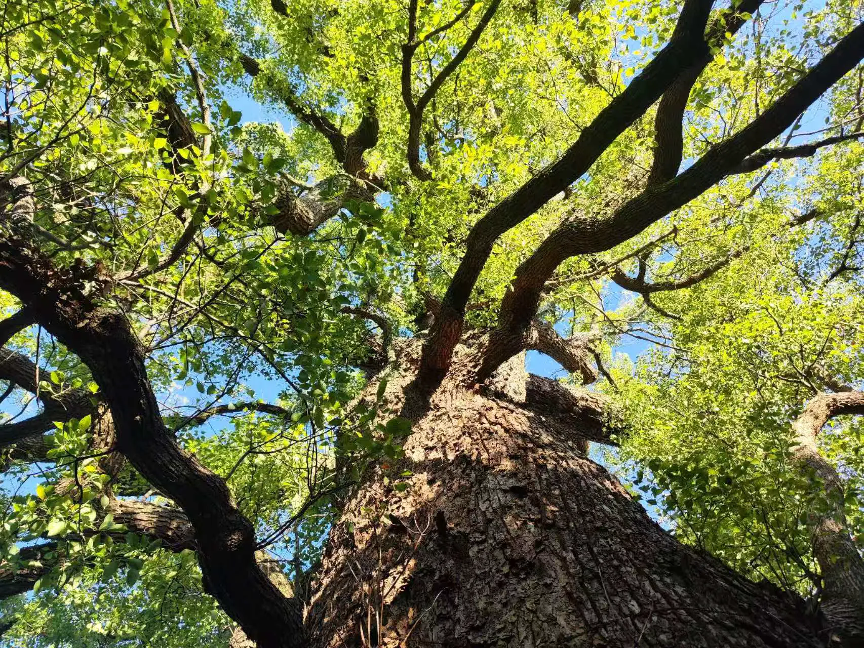 An image to describe post