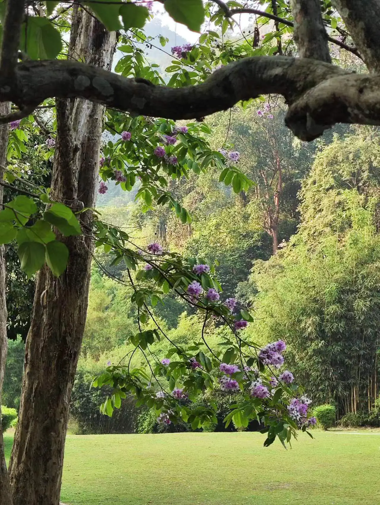 An image to describe post