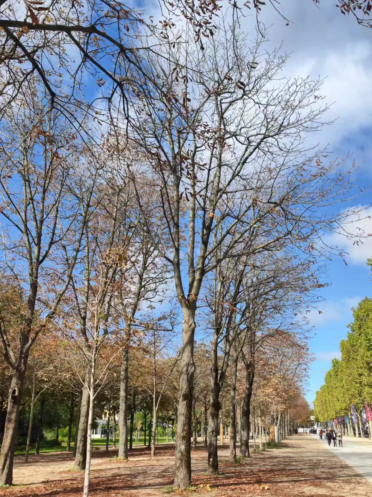 An image to describe post