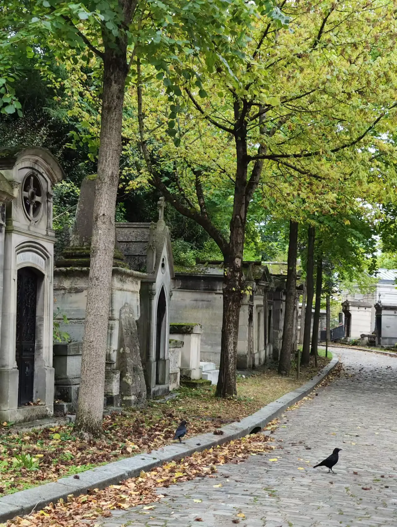 An image to describe post