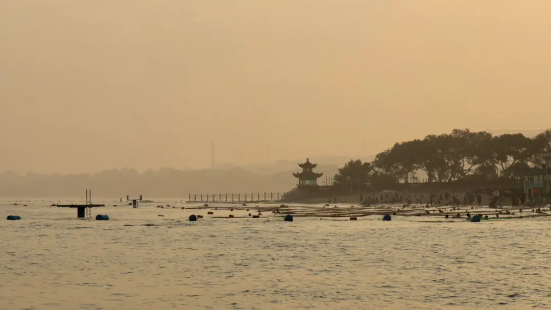 An image to describe post