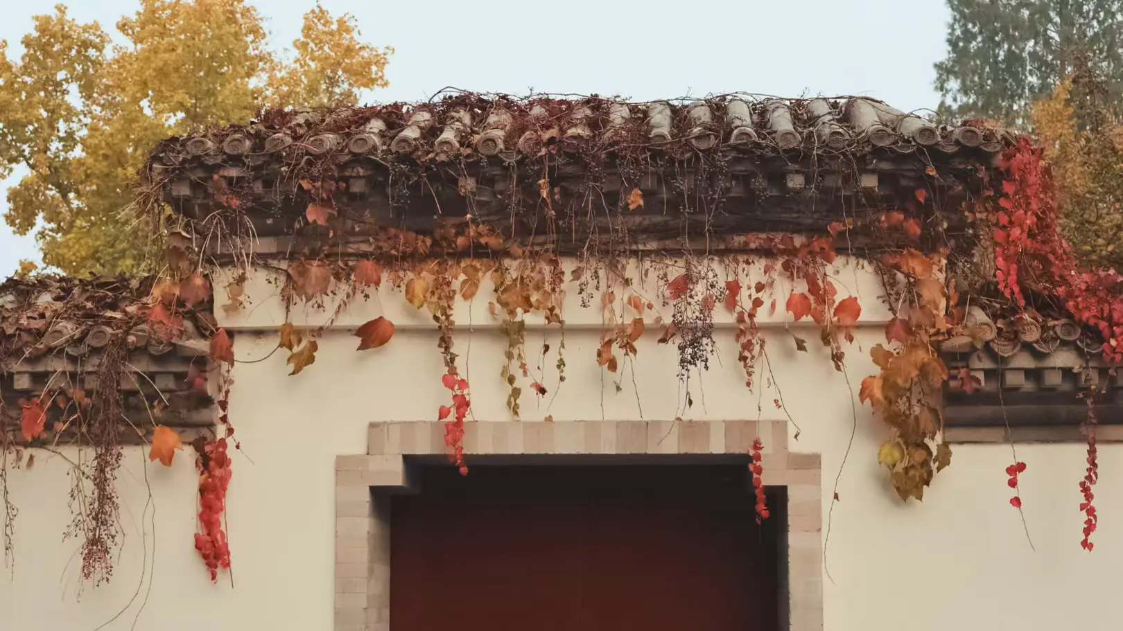 Semi-paranoid #54 淡人的浓厚阅读体验