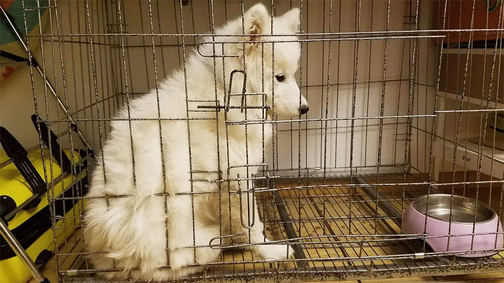 An image to describe post