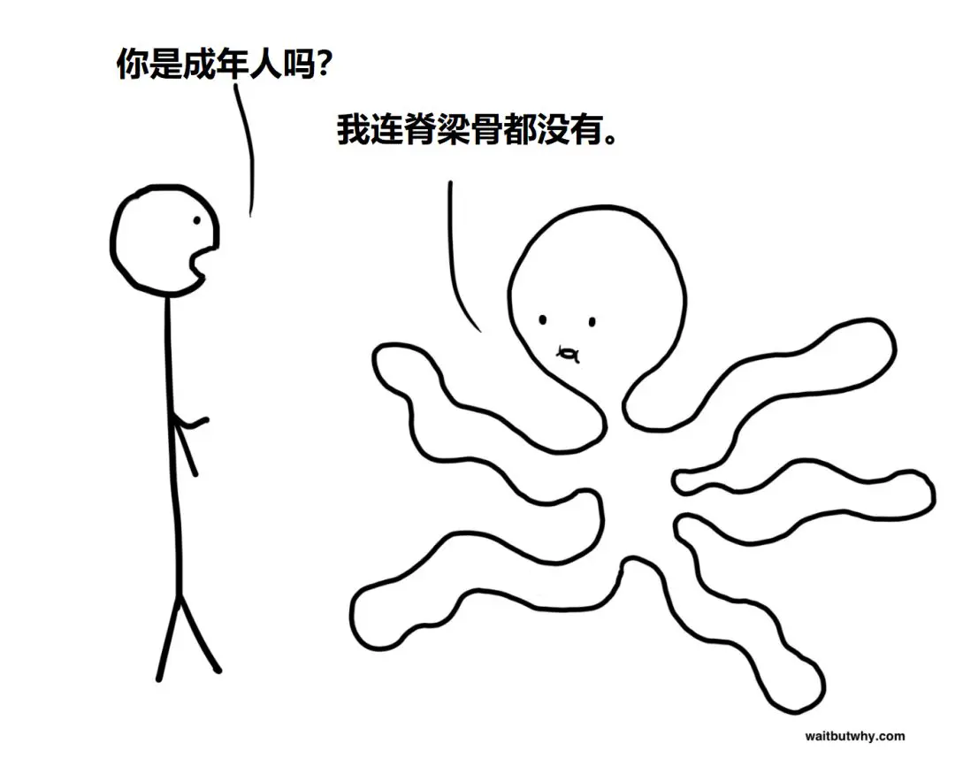 An image to describe post