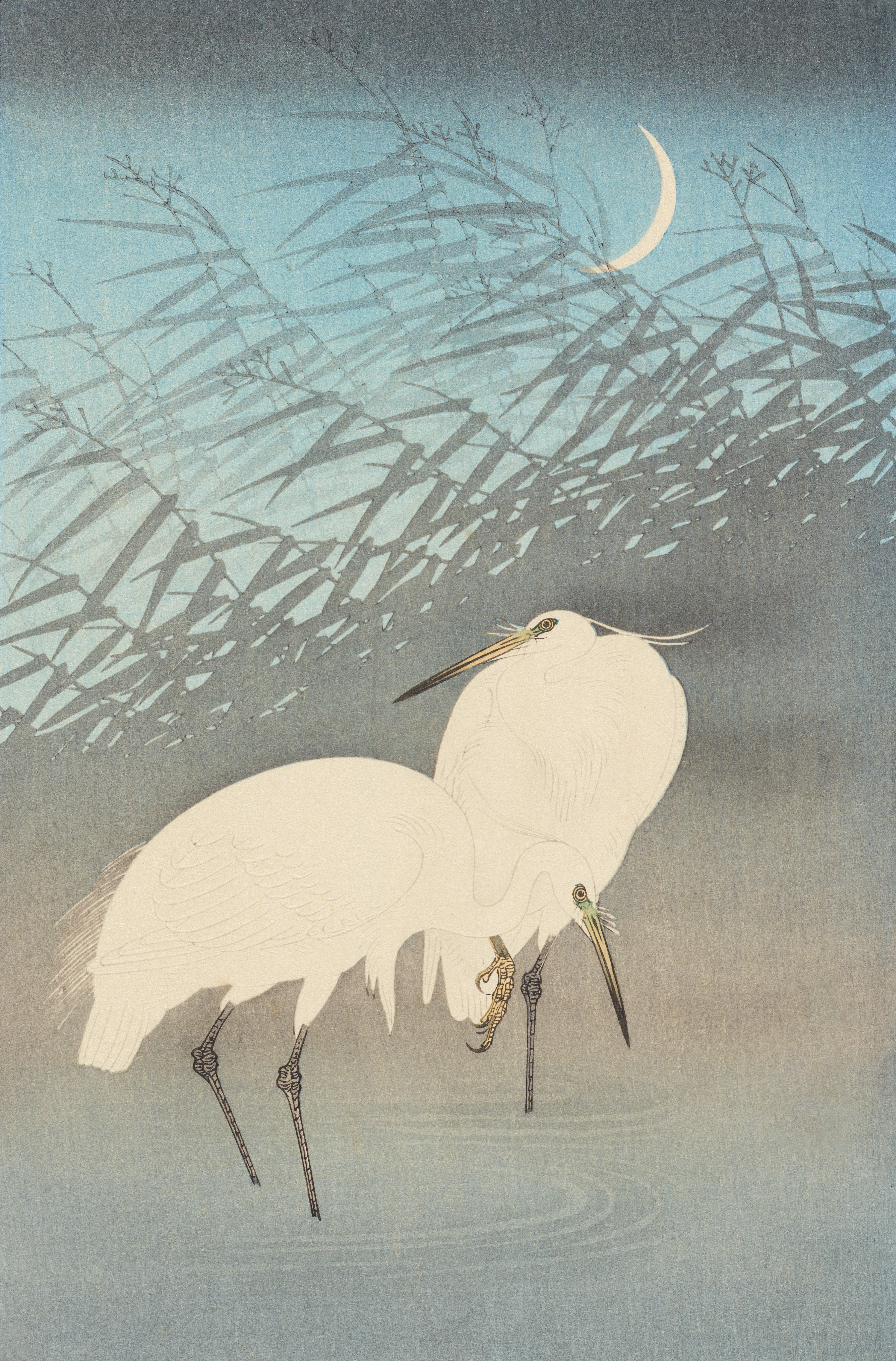 NO18 五一与旅行、【日出山谷】未来规划