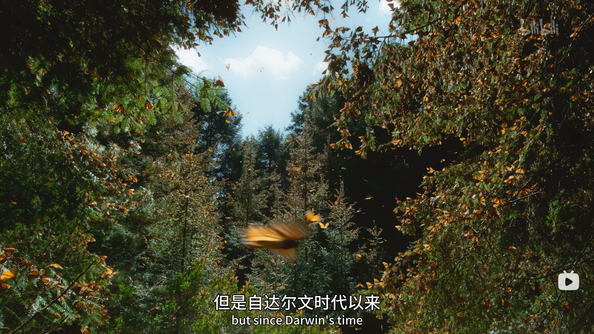 An image to describe post