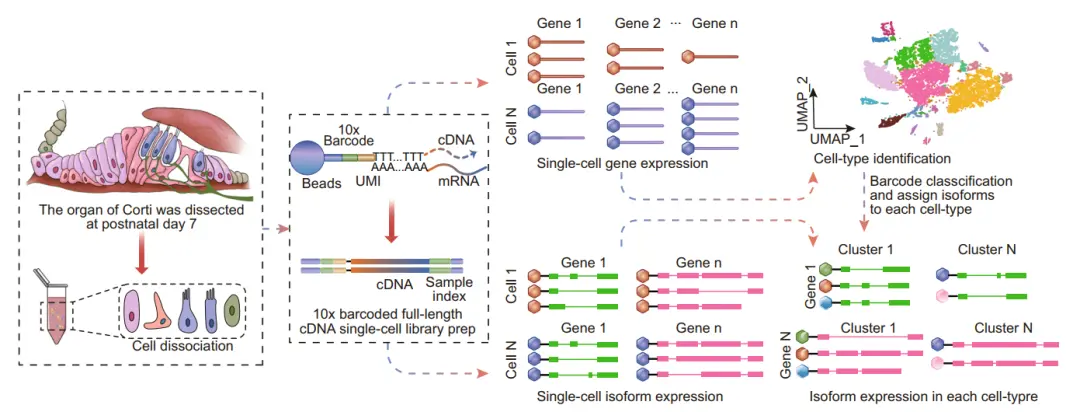 An image to describe post