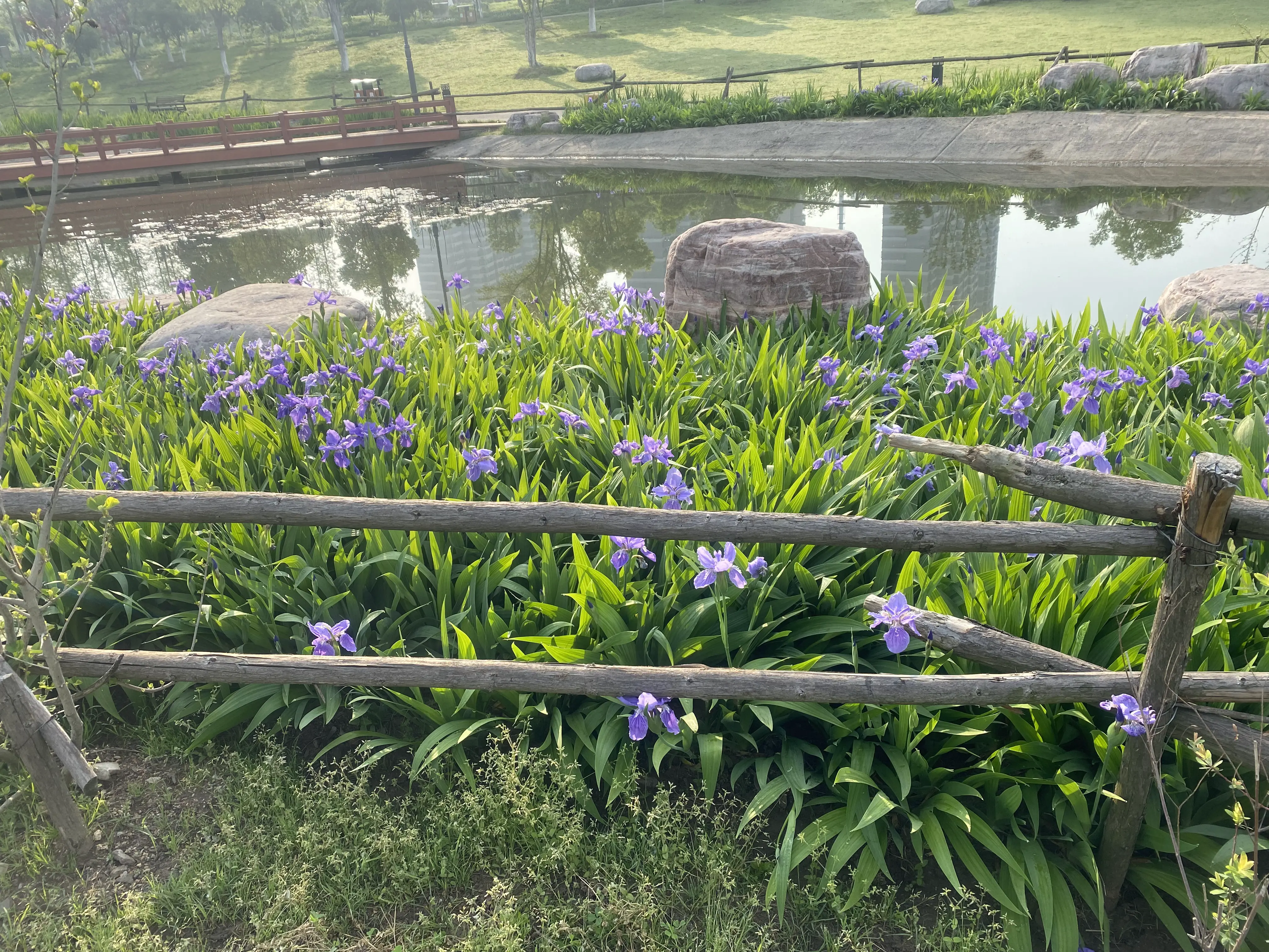 An image to describe post